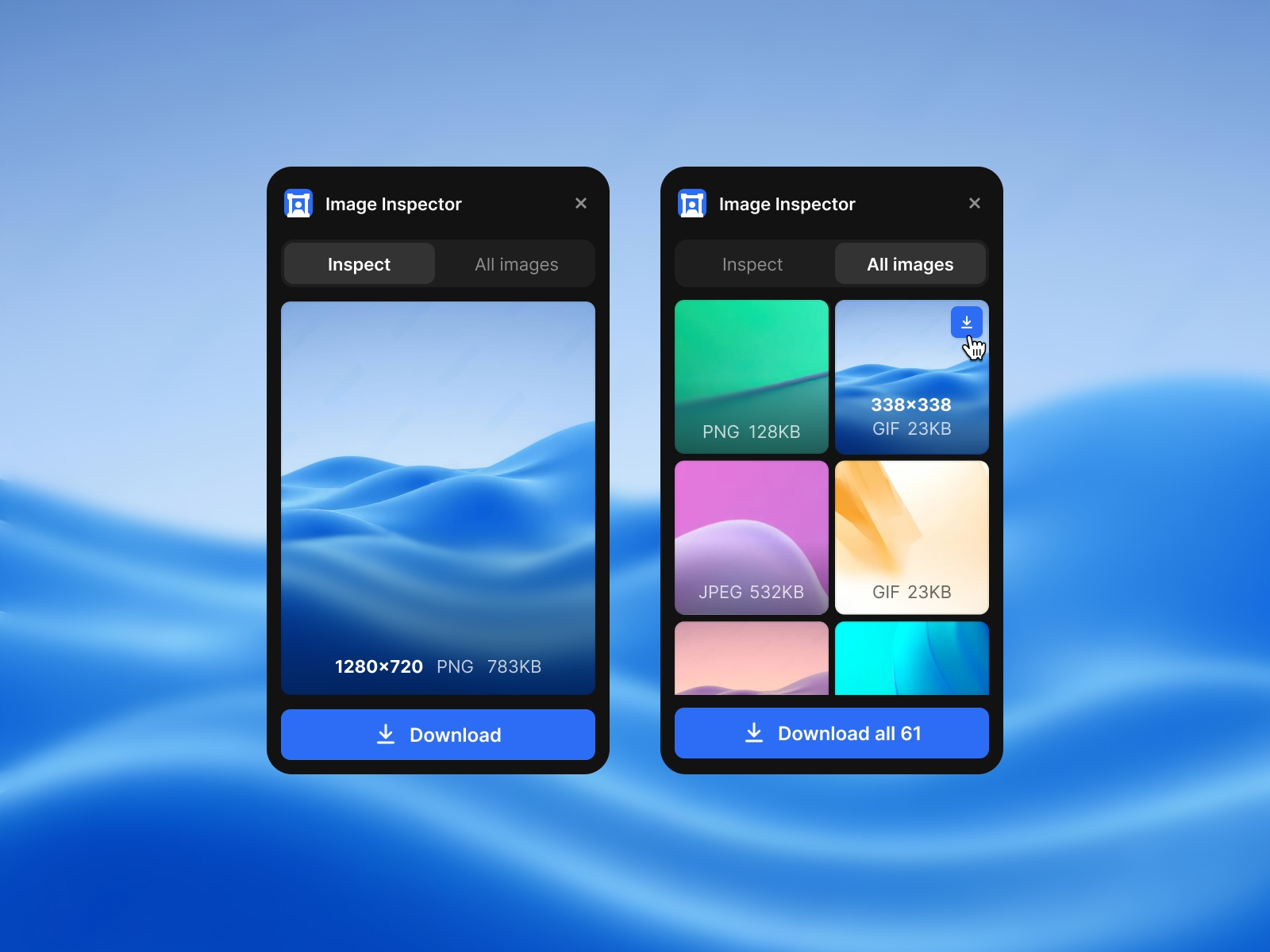 Thumbnail 2 for Image Inspector, a Framer Marketplace template by Emanuel Serbanoiu.
