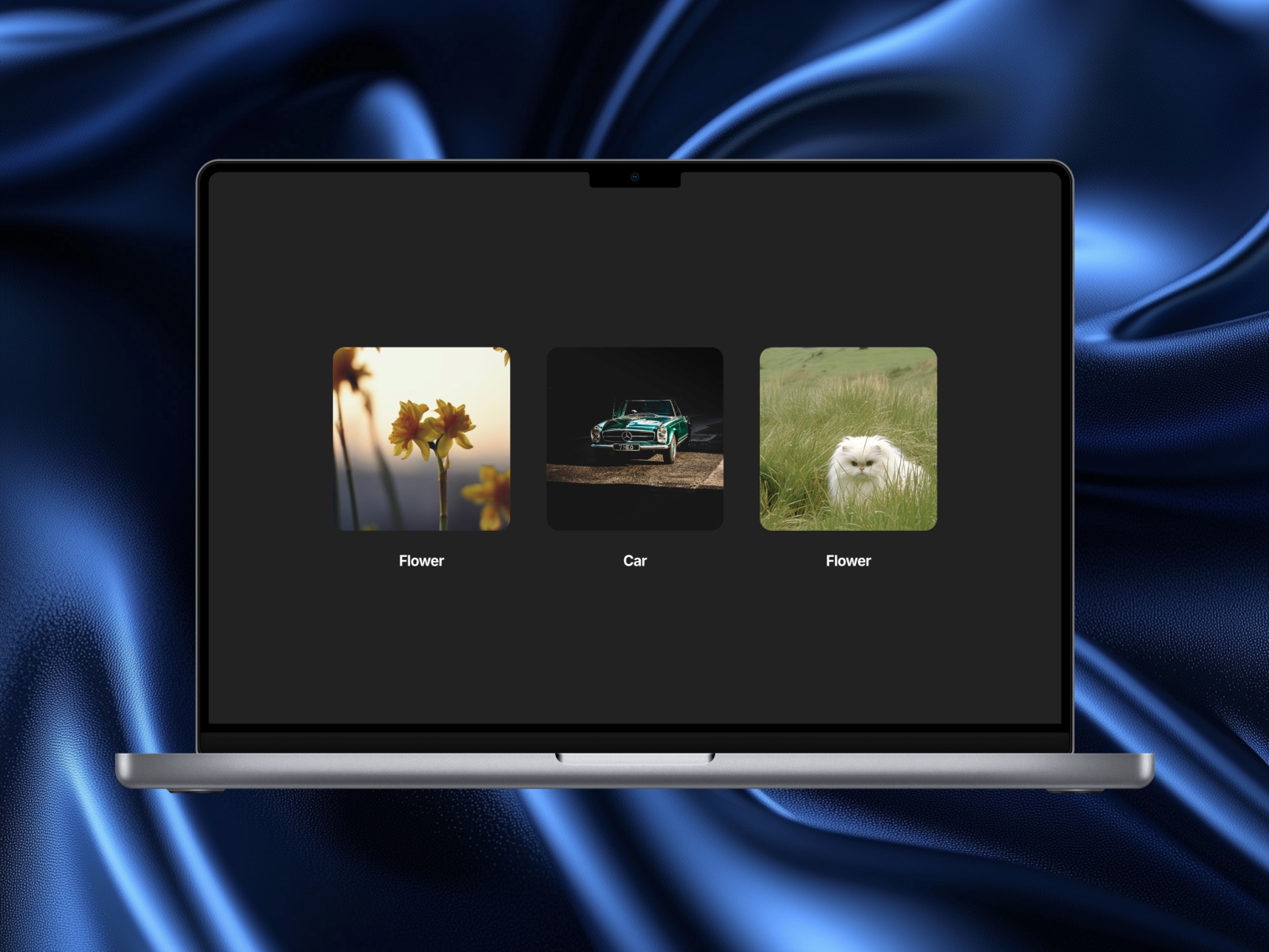 Thumbnail 2 for Image Lightbox Gallery, a Framer Marketplace plugin by Şafak.