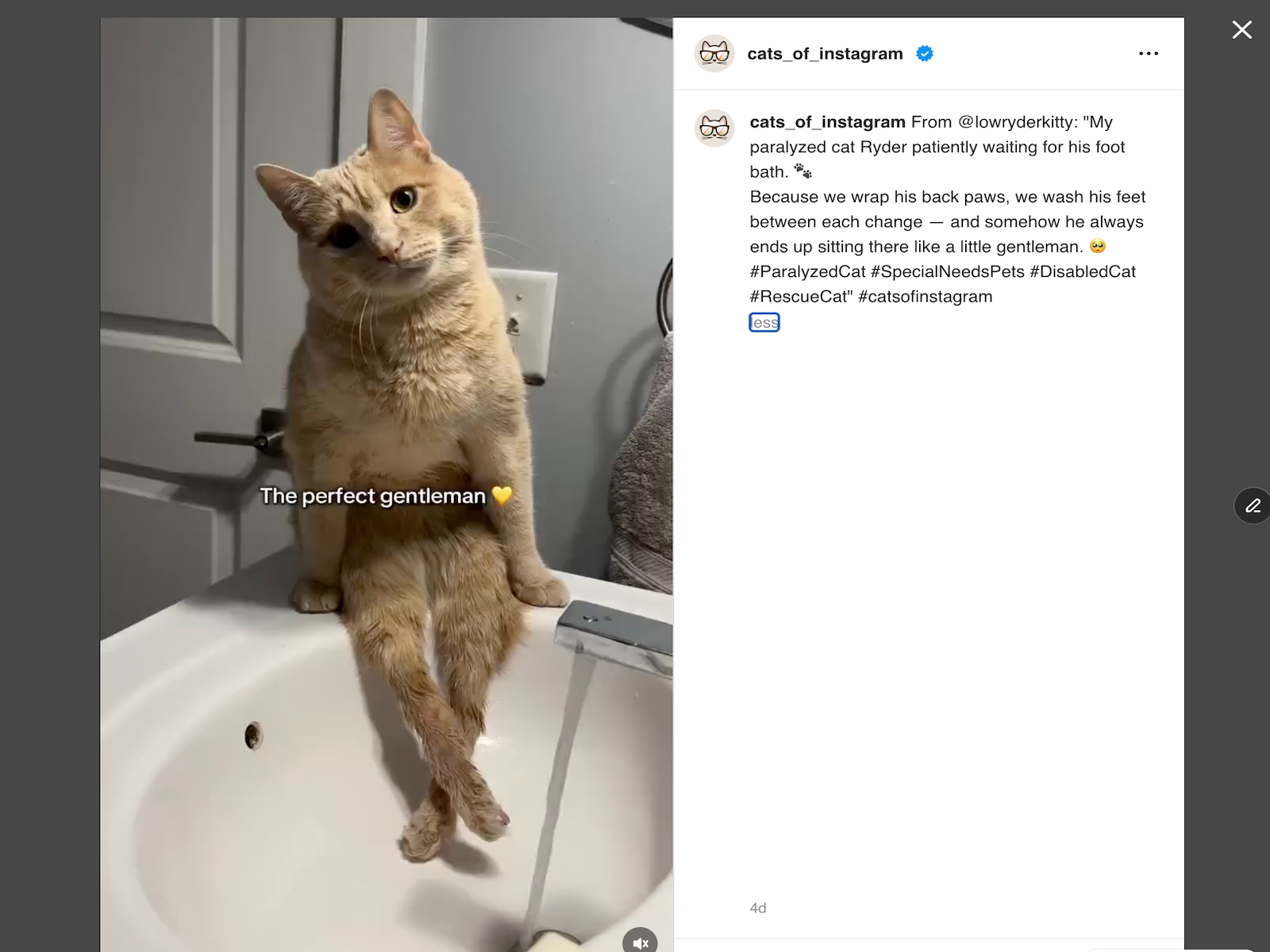 Screenshot 4 for RevuKit - Instagram Feed, a Framer Marketplace plugin by Revukit Studio.