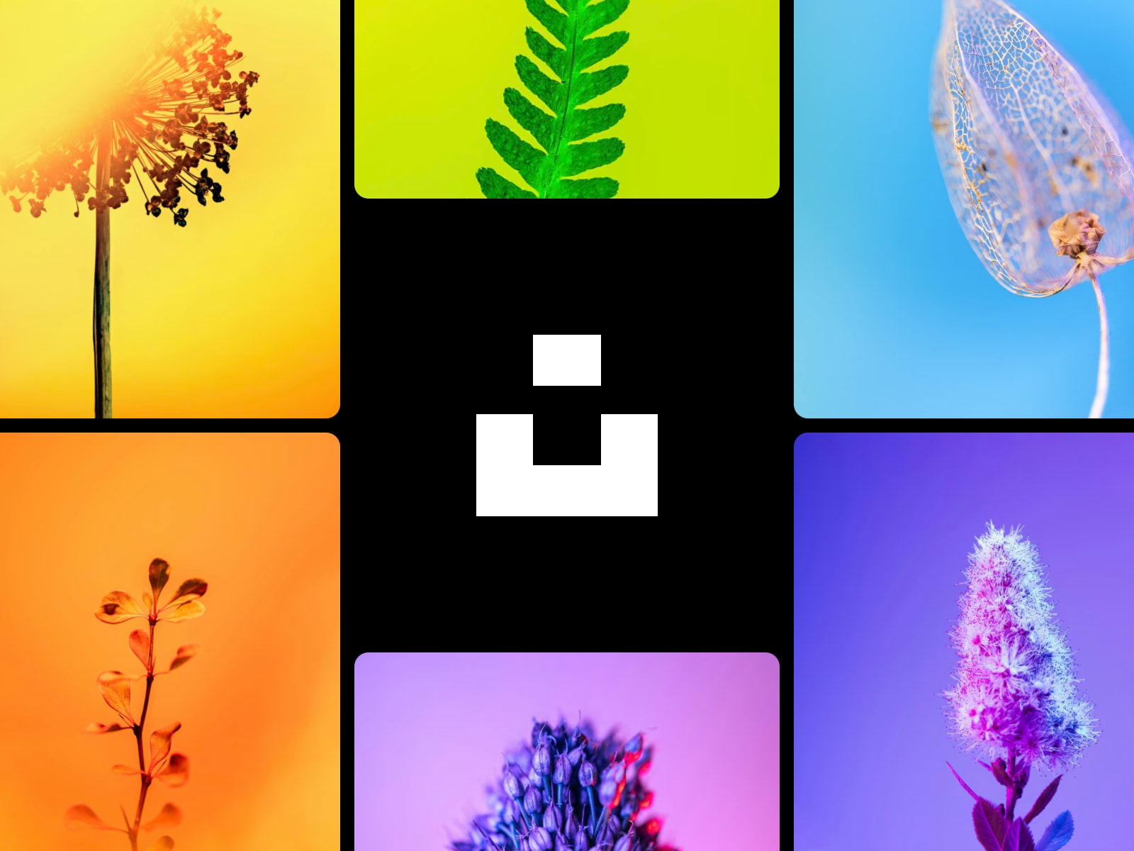 Unsplash