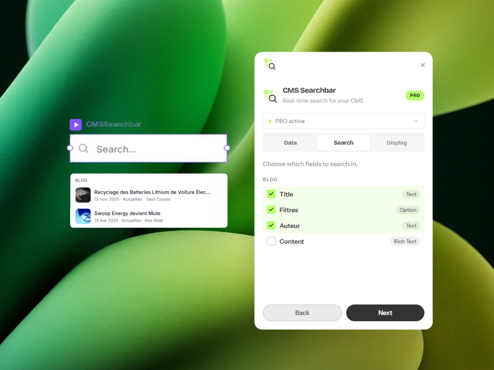 CMS Searchbar
