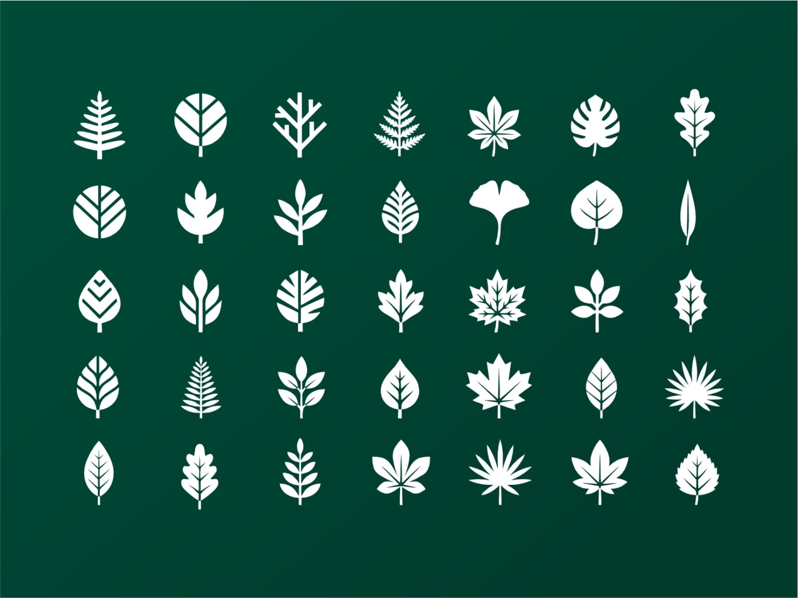 Leaf Shapes