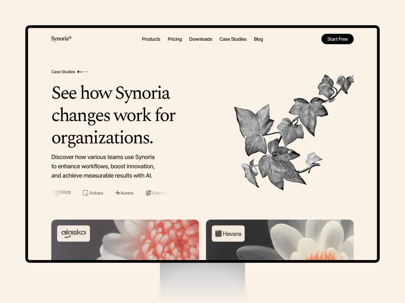 Synoria