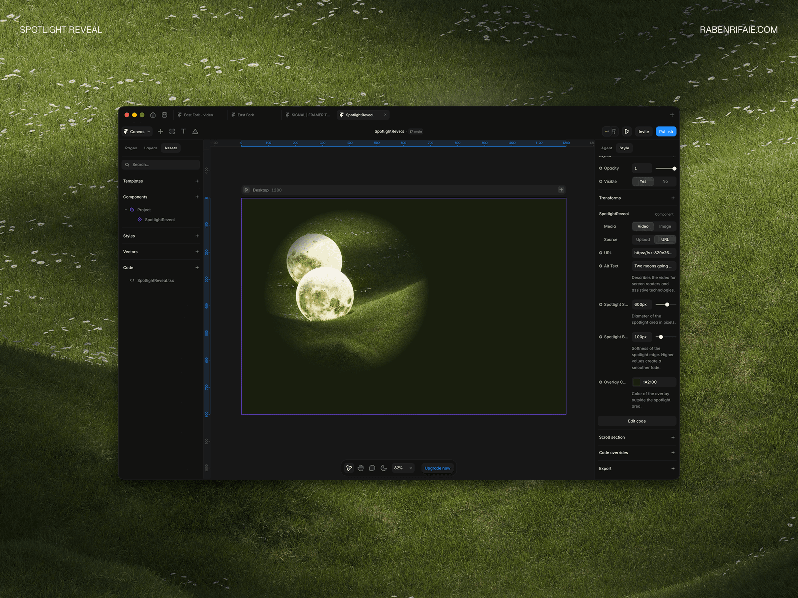 SpotlightReveal