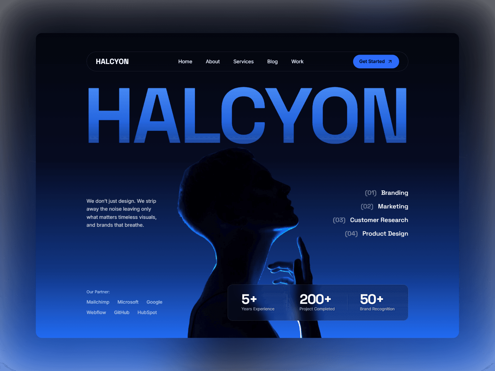 Halcyon X