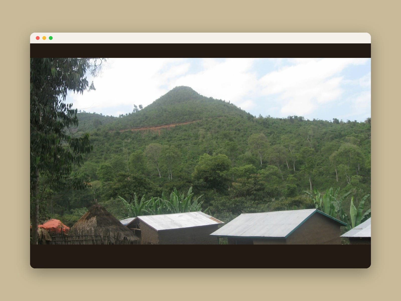 Coffee Roastery Site