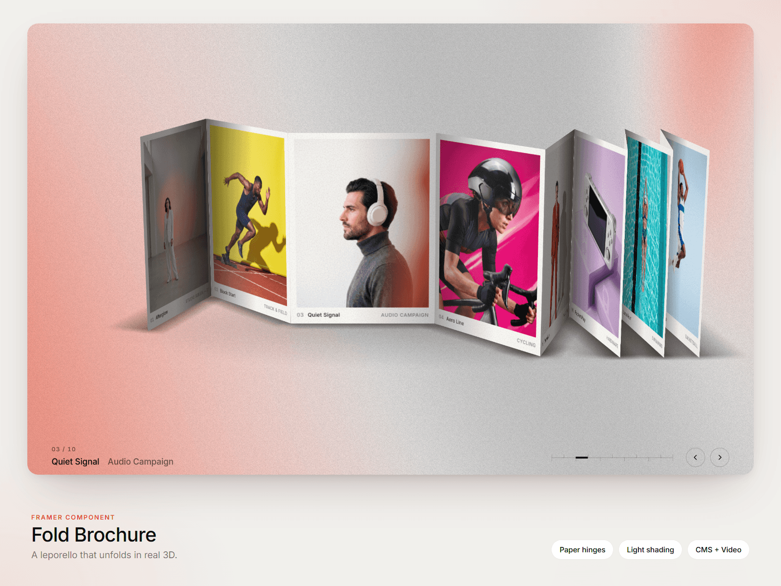 Fold Brochure