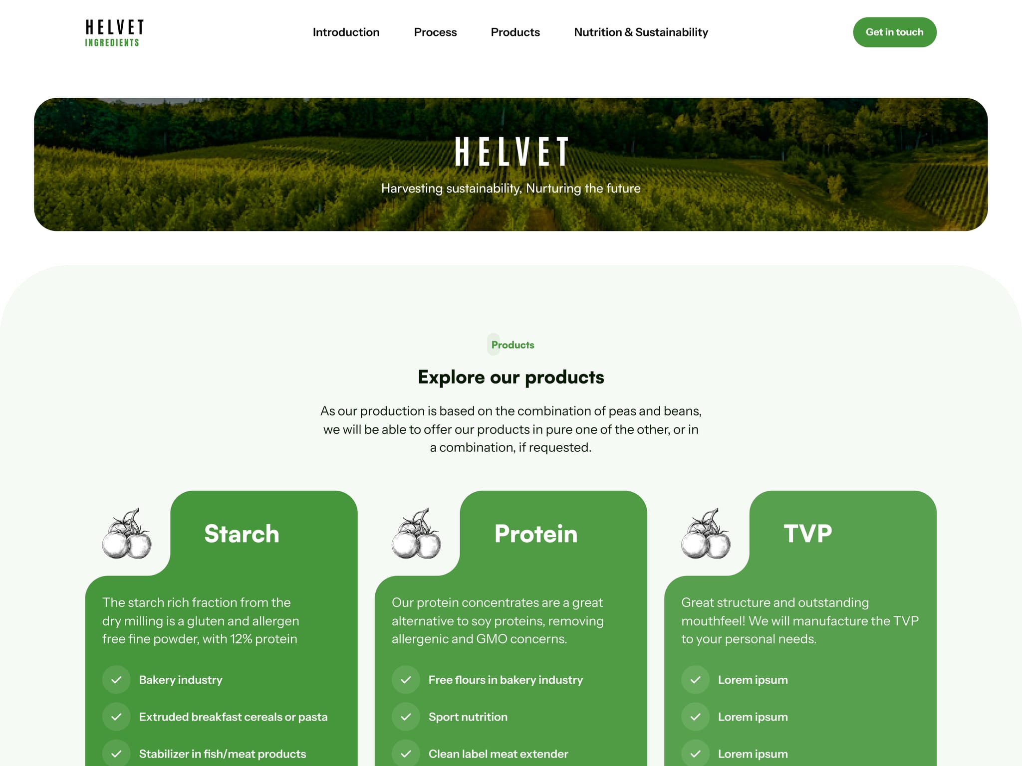 Premium Food Website