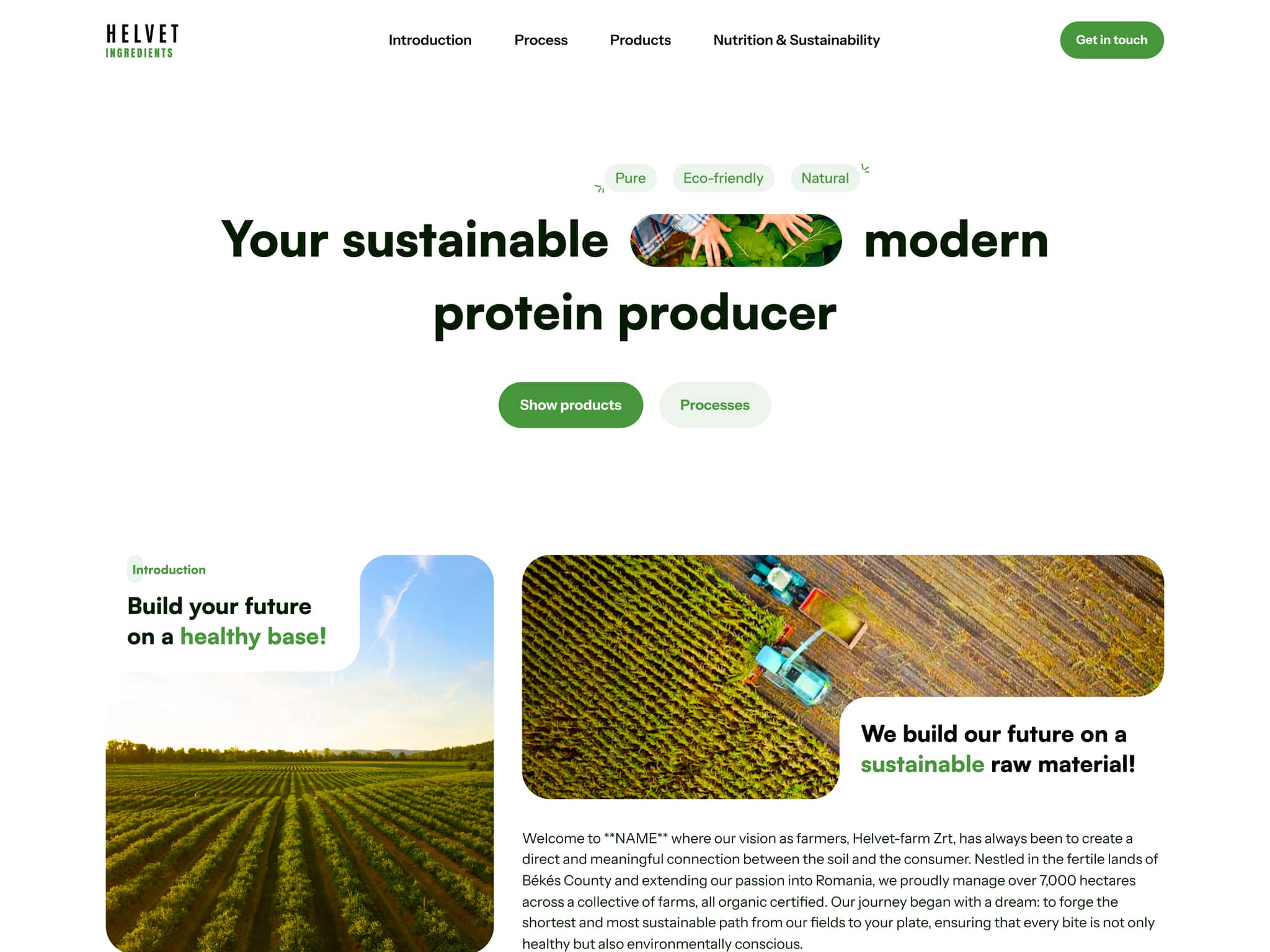 Premium Food Website