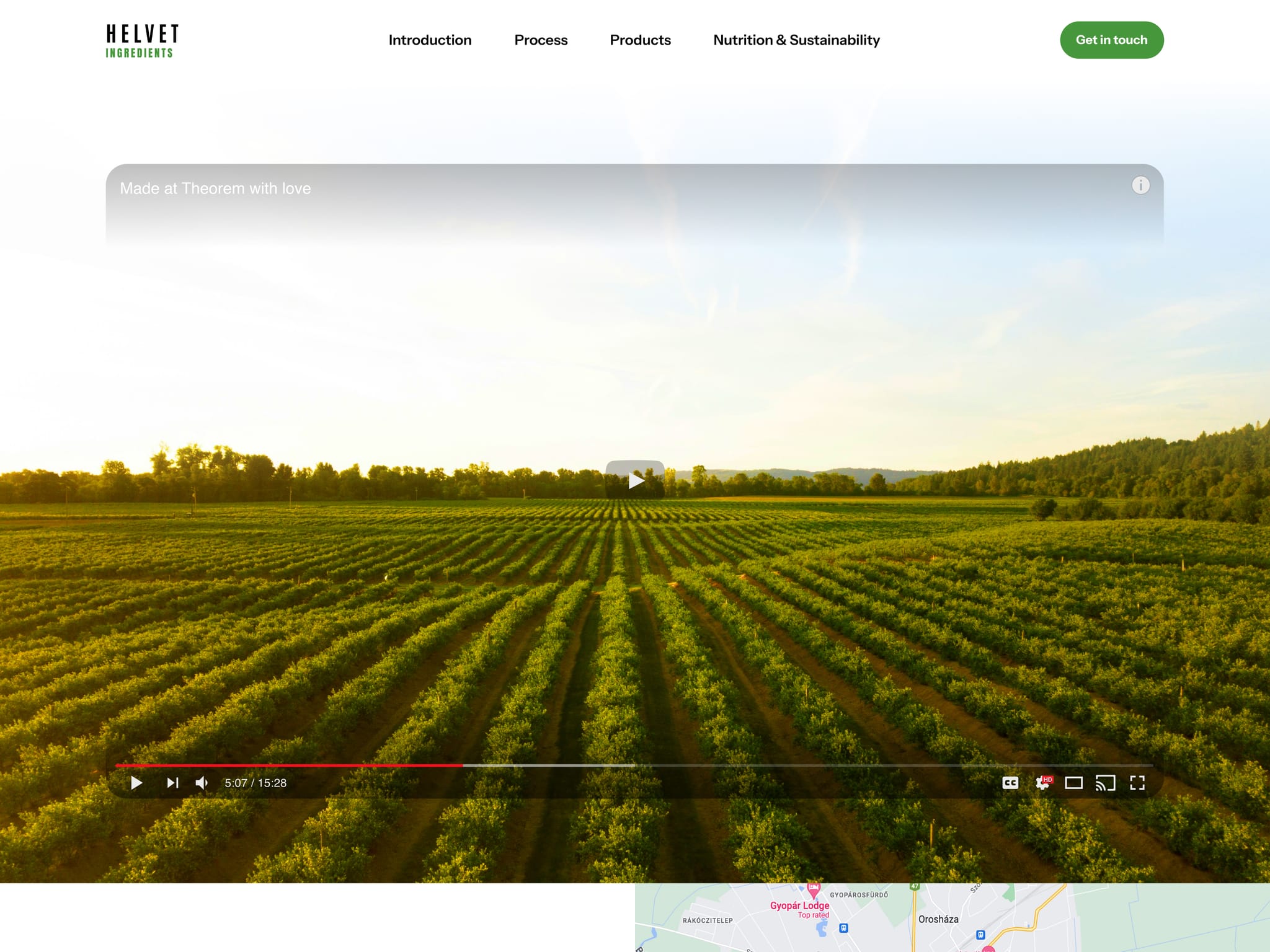 Premium Food Website
