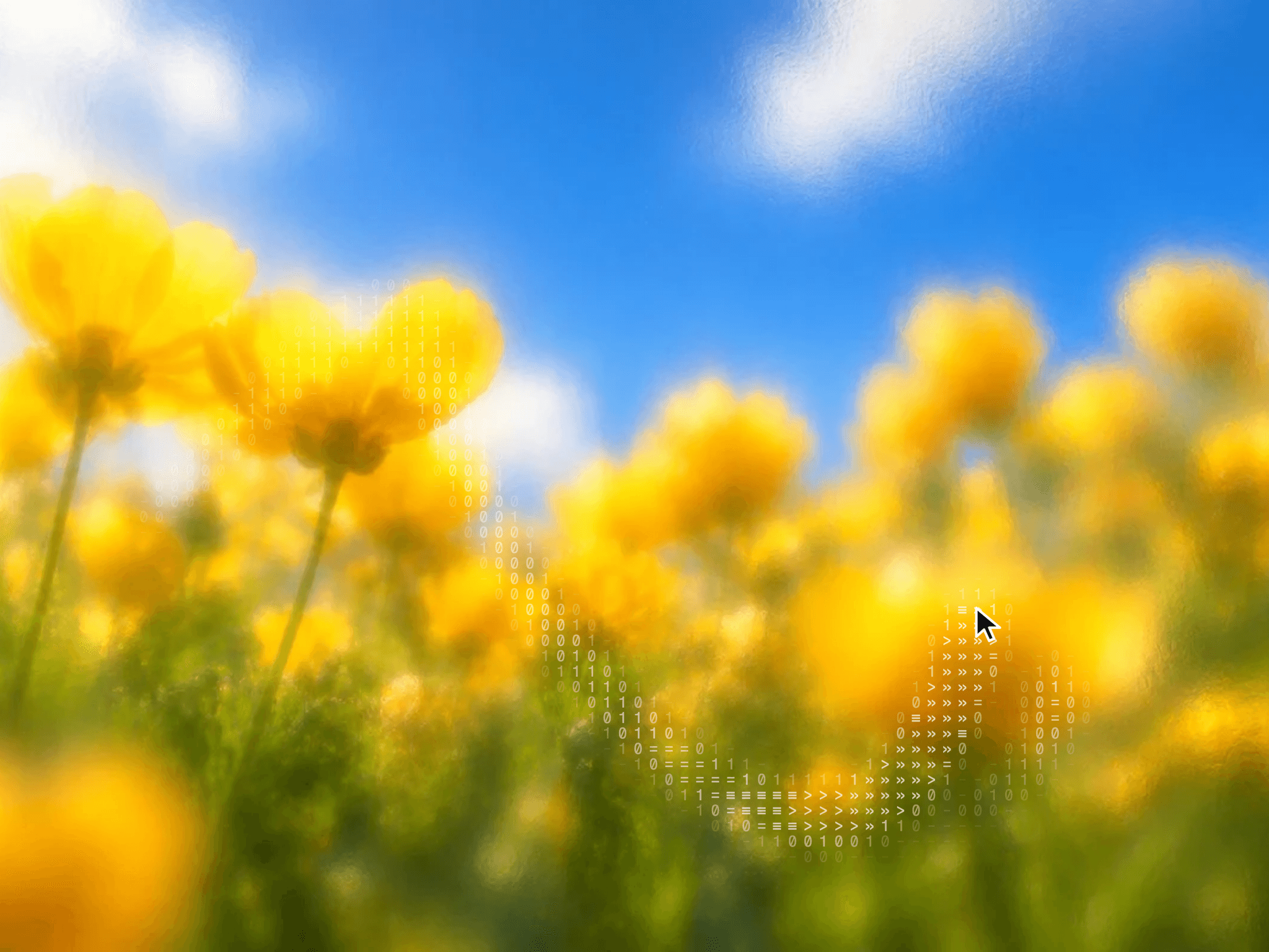 ASCII Brush Field
