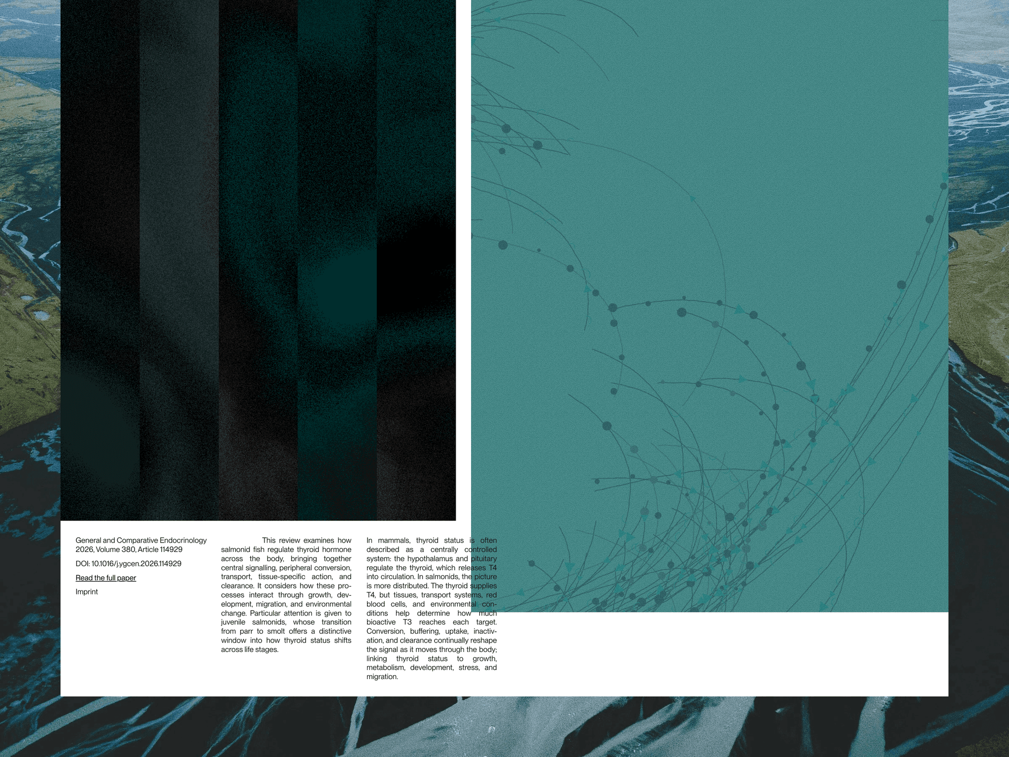Distributed Signals