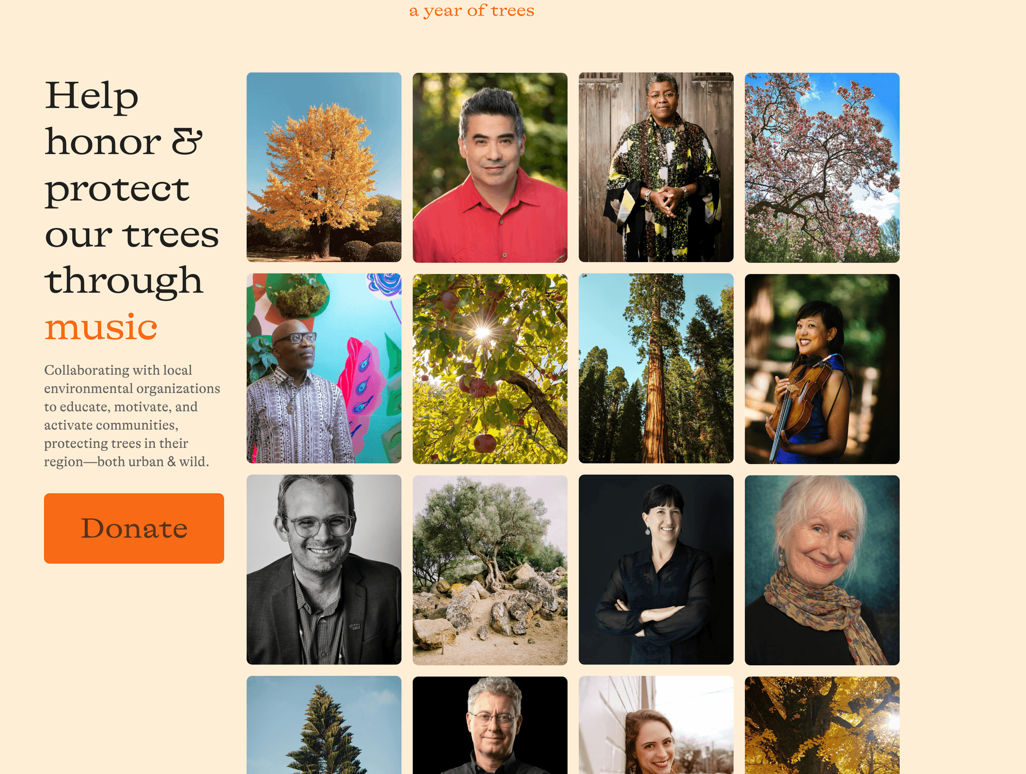 Year of Trees