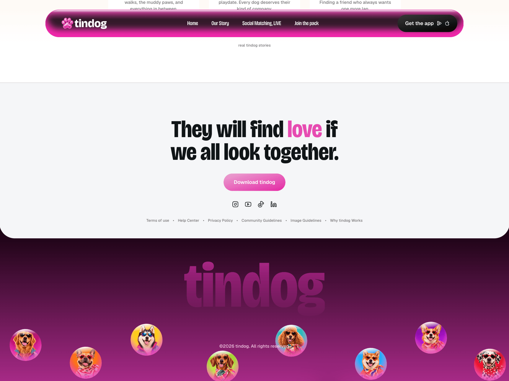 Tindog