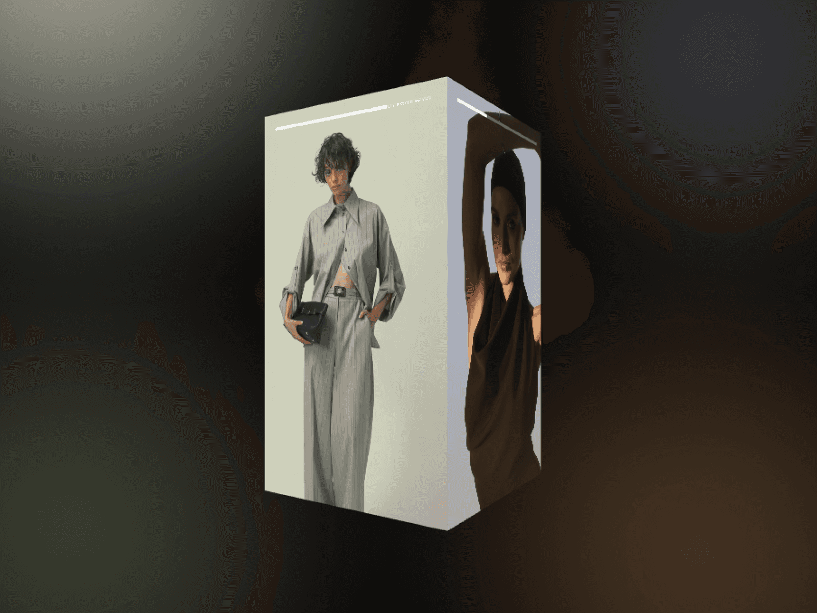 3D Media Showcase