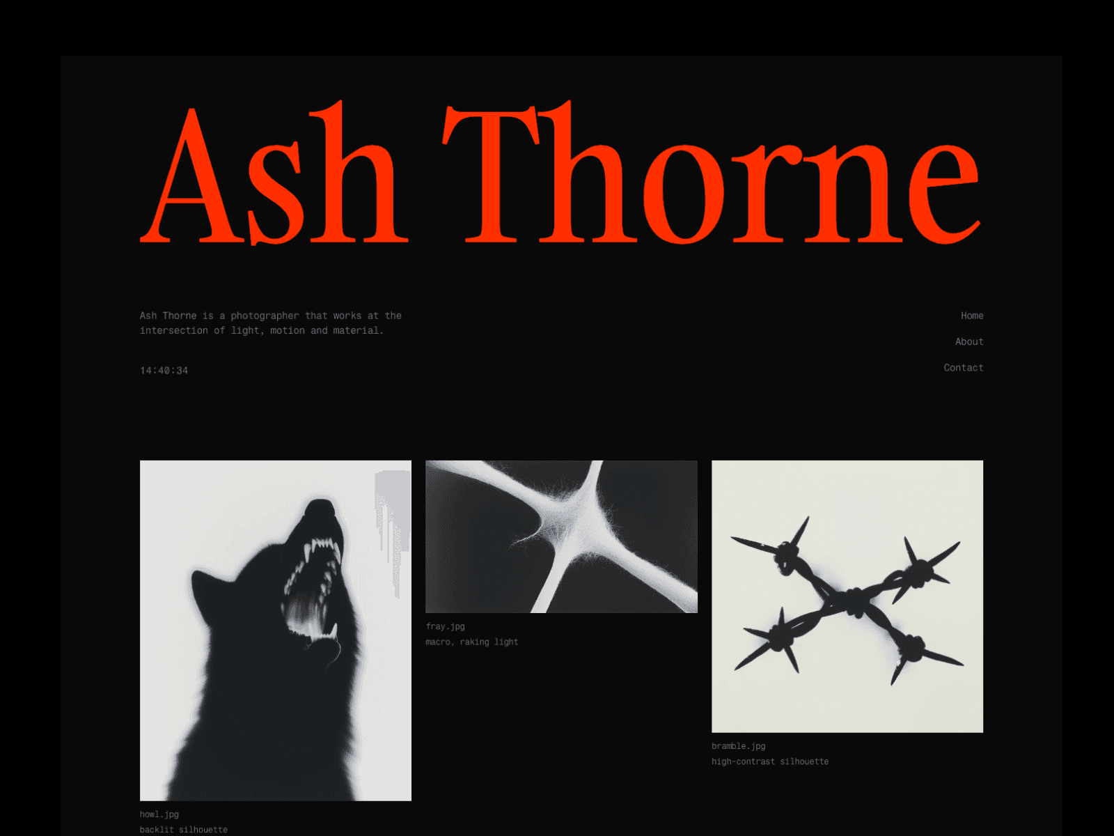 Ash Thorne