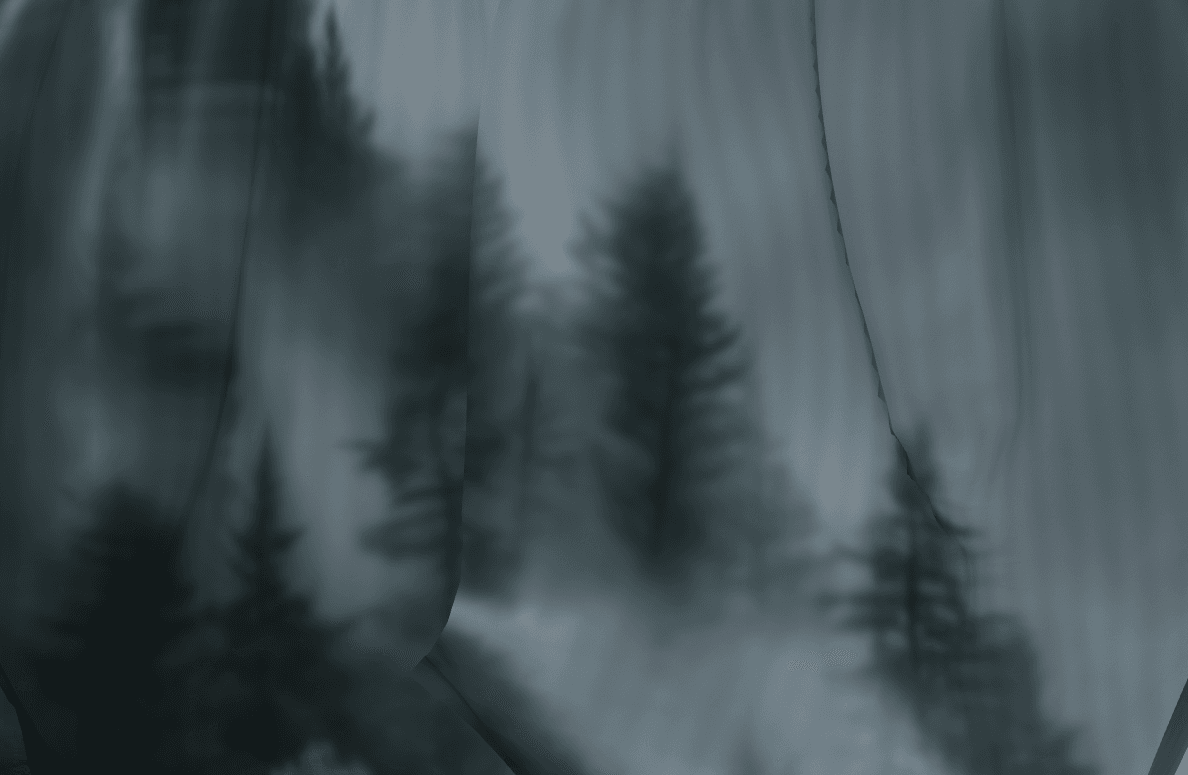 Sheer Veil Plastic