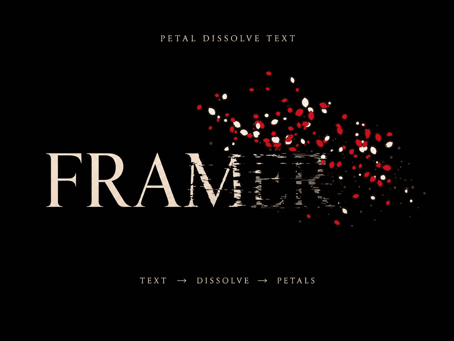Petal Dissolve Text