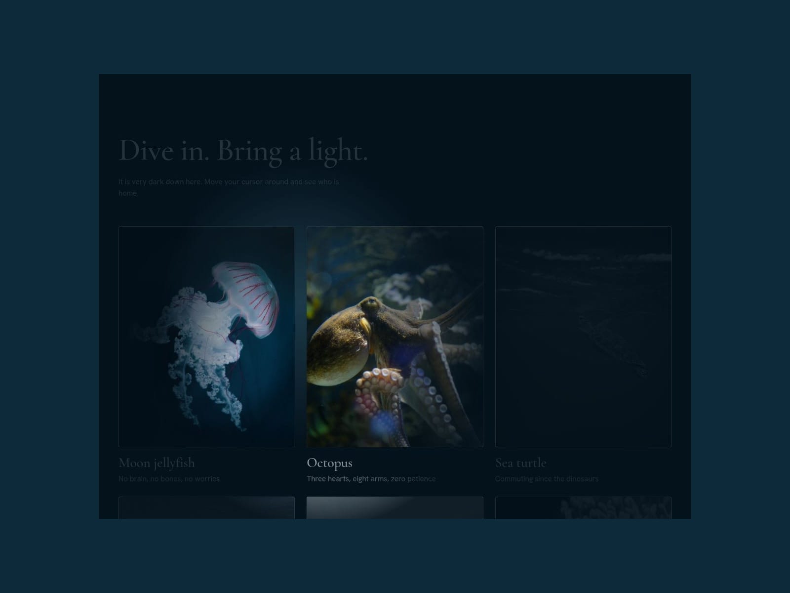 Spotlight Gallery