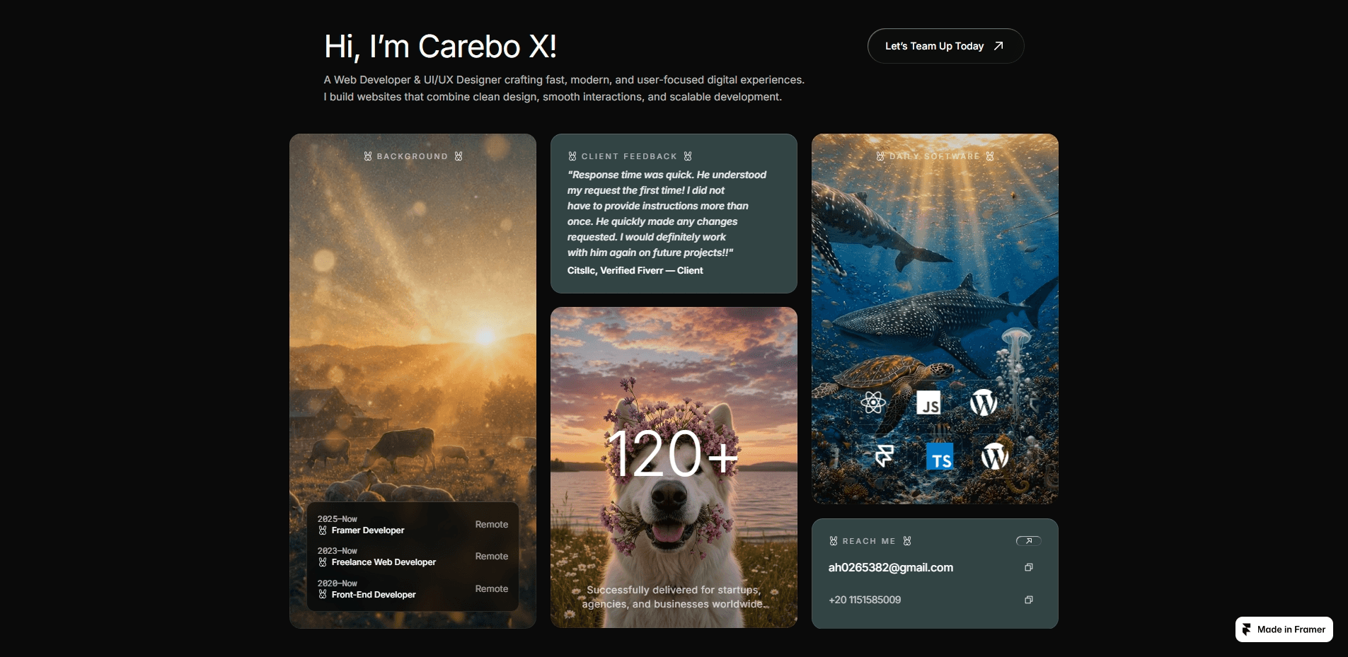 Portfolio Bento Grid
